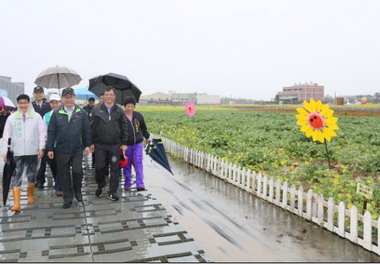 龍井區休耕地化身海岸花卉廊道(圖)