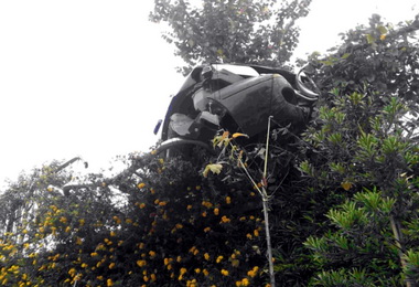 車貼平安符有保佑(圖)