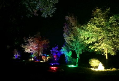 8大森林樂園大玩燈光藝術 打造絢麗夜景(圖)