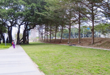 加工區地方民間三方打造高軟輕軌周邊新風貌(圖)