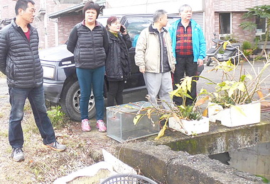 遊樂場鏧井 集集居民憂地層下陷(圖)