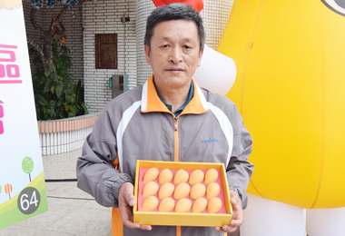 太平枇杷評鑑柯聰明奪第一(圖)