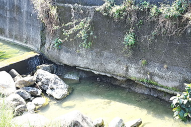 北勢坑橋護岸掏空 縣府決定補強(圖)