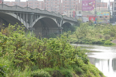 大里溪活化再造帶動地方觀光發展(圖)