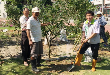 響應市府種樹政策鹿峰里長號召種樹(圖)