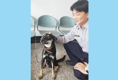 收養流浪狗員警意外尋獲失竊機車(圖)