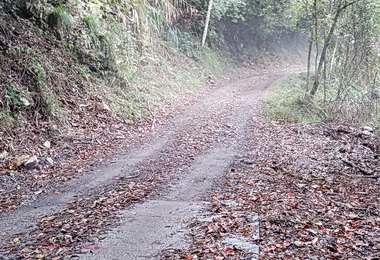 郡大林道6月5日起封閉 民眾勿進(圖)