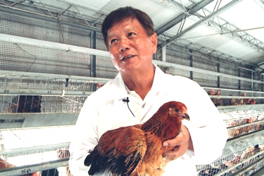 李淵百打造全國最大土雞保種庫(圖)