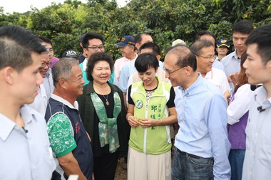 大樹玉荷包減產5成 陳菊陪同林全視察災損(圖)