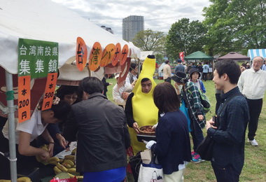 集集山蕉日本佐倉市展售(圖)