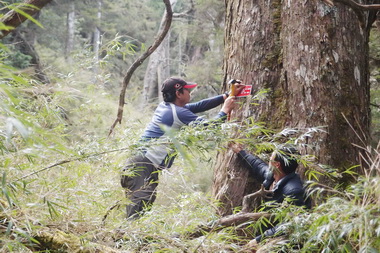 森林護管員郭智筌任勞任怨 獲好評(圖)