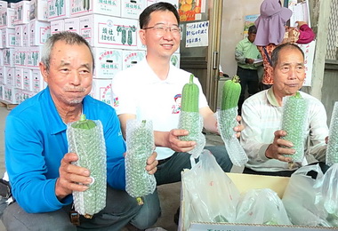 公所買授粉蜂野放 提升絲瓜品質(圖)