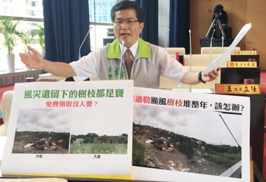 樹枝堆置成山議員批：政策執行不力(圖)