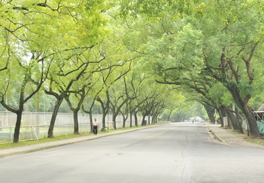 中興新村環境佳 議員盼立院遷入(圖)