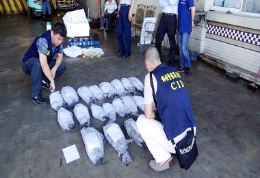 保三總隊查獲走私23隻保育隆頭鸚哥魚(圖)