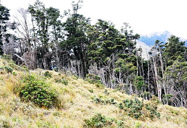 玉管處發表104年度保育成果(圖)