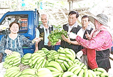 夏季香蕉正產 熬夜來一根有助益(圖)