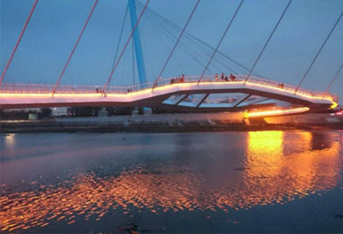 清水高美濕地獲國家卓越建設金質獎肯定(圖)