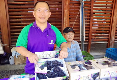 水里黑紫玉葡萄促銷圓滿落幕(圖)