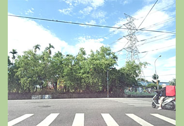 富中路紅綠燈 消失在樹林中(圖)