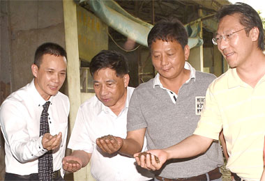 環保雞糞堆肥 縣府：防治蒼蠅(圖)