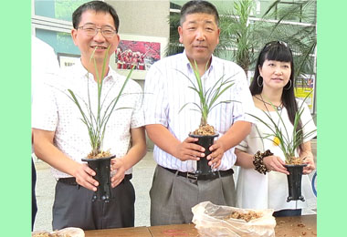 休閒農業區體驗 魚池開步走(圖)