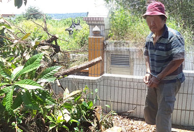毒蟲偷車載龍柏變賣又違停遭逮(圖)