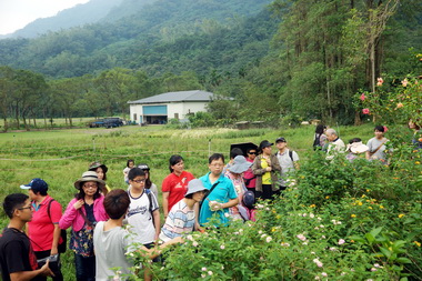青年學子踏足三農場瞭解有機農業(圖)