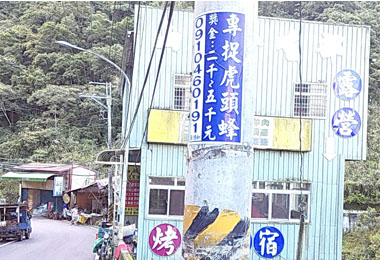 捕蜂抓蛇 地方建議：交給民間(圖)