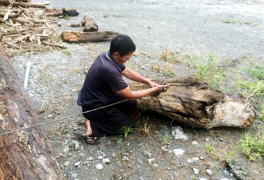 男子颱風期間撿漂流木涉侵占罪送辦(圖)