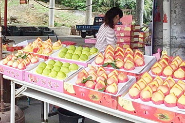 中秋節食品抽驗結果出爐(圖)