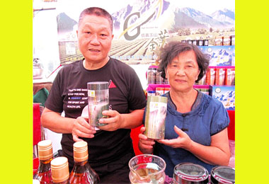 堅持有機 黃漳沂打造茶葉新江湖(圖)