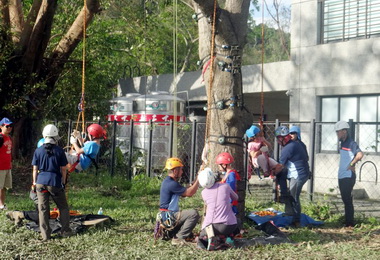 創新遊憩共覽左營舊城百年風華熱鬧展開(圖)