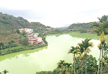 鹿谷鄉辦茶山輕旅行 特色十足(圖)