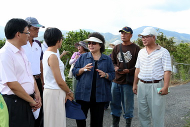 視察六龜農損情形 陳菊：速助農民復耕(圖)