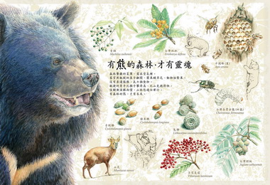 玉管處發表保育台灣黑熊成果(圖)