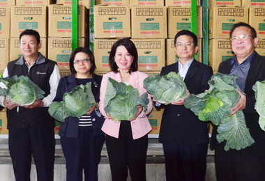 雲林農產品質佳  30公噸高麗菜外銷韓國(圖)