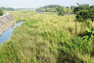 萬丹野溪雜草叢生 縣長：河道整治(圖)
