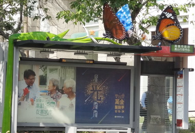 紫斑蝶候車亭現蹤美不勝收(圖)