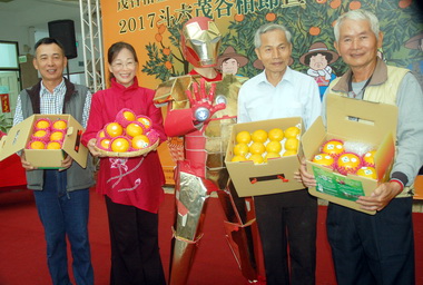 斗六茂谷柑節美味登場(圖)