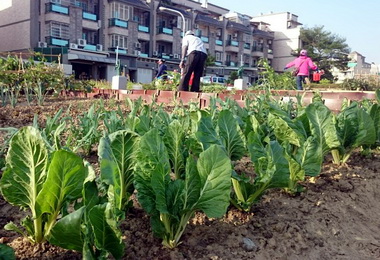 高市原住民都會農園受理申請(圖)