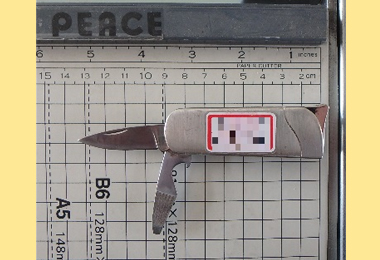 警民負傷聯擒鐵撬大盜(圖)