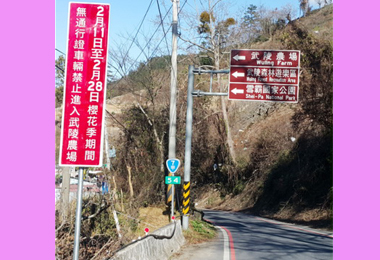 武陵農場櫻花季將進行交管(圖)