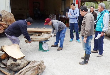 清水警破獲盜伐集團逮捕二嫌(圖)