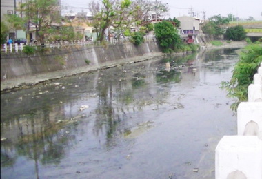 市府將建水質淨化設施解決梧棲惡化水質(圖)