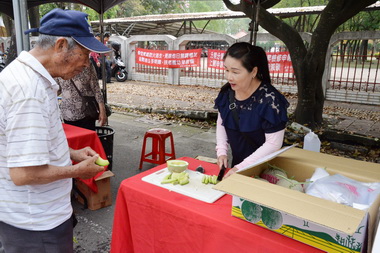崙背洋香瓜盛產品嚐正是時候(圖)