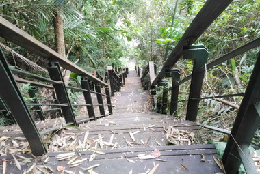獅頭山登天步道維護不易日管處允諾處理(圖)