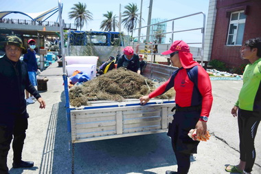 高市啟動海洋垃圾調查與清除(圖)