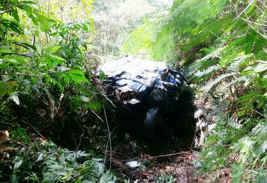 男子駕車滑落山谷傷重死亡(圖)