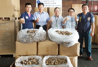 高雄關查獲走私中國香菇(圖)